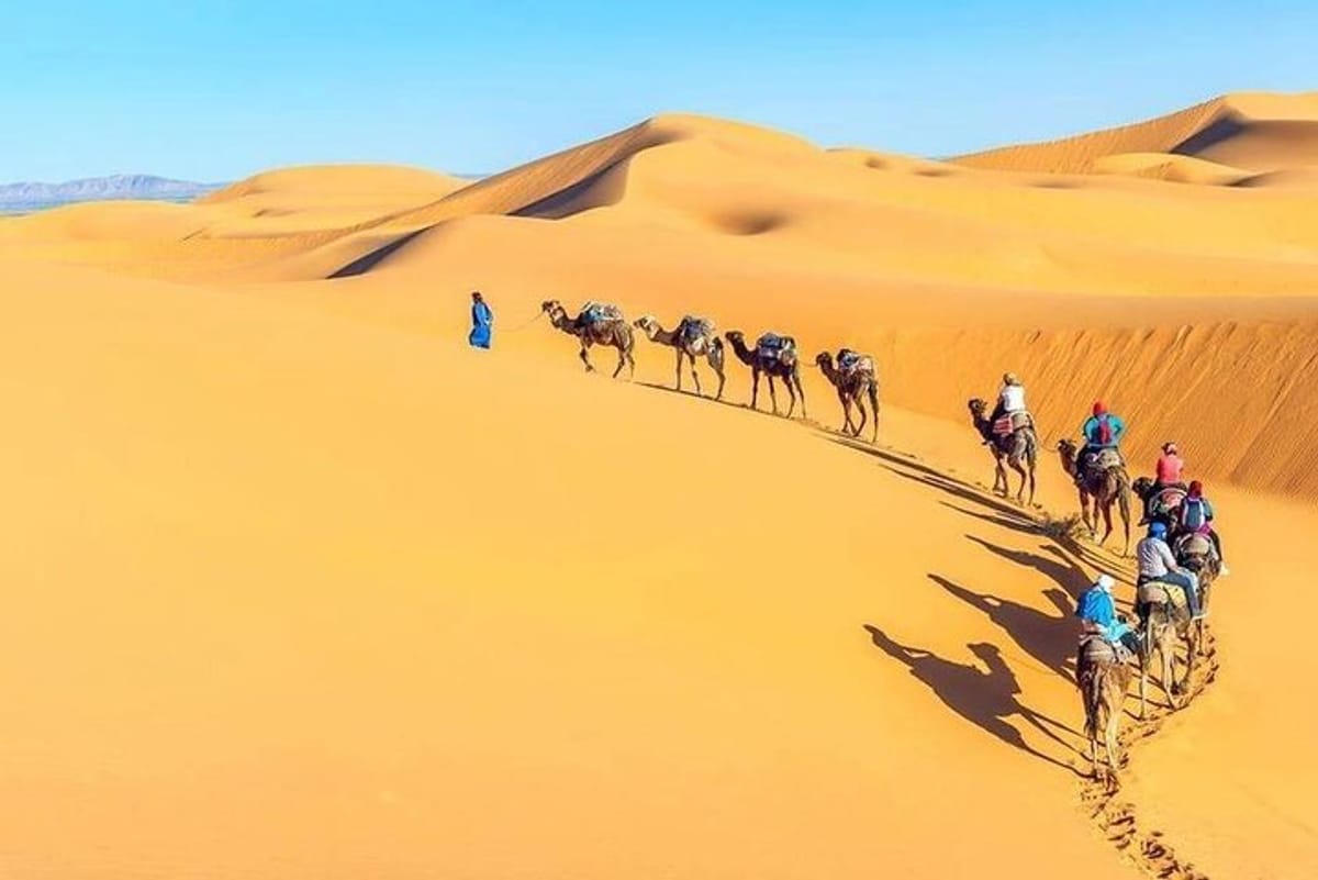camel-trekking-in-abu-dhabi-abu-dhabi-camel-ride_1